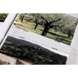 Album memo MALI 9x13/200, popisové štítky