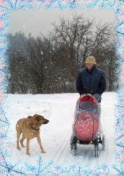 S modrými vločkami