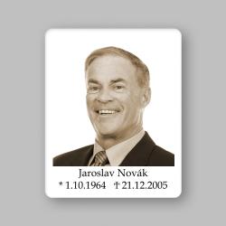 V5 Sépie 